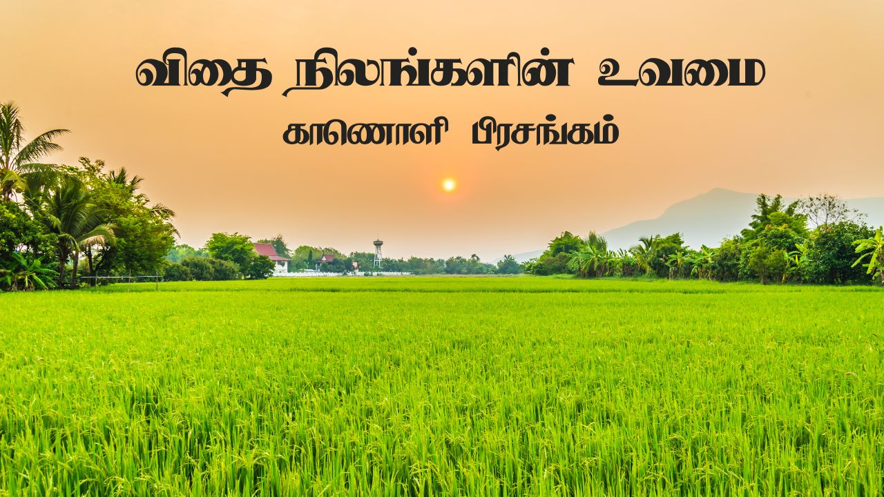 விதை நிலங்களின் உவமை